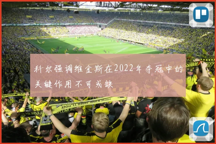 科尔强调维金斯在2022年夺冠中的关键作用不可或缺